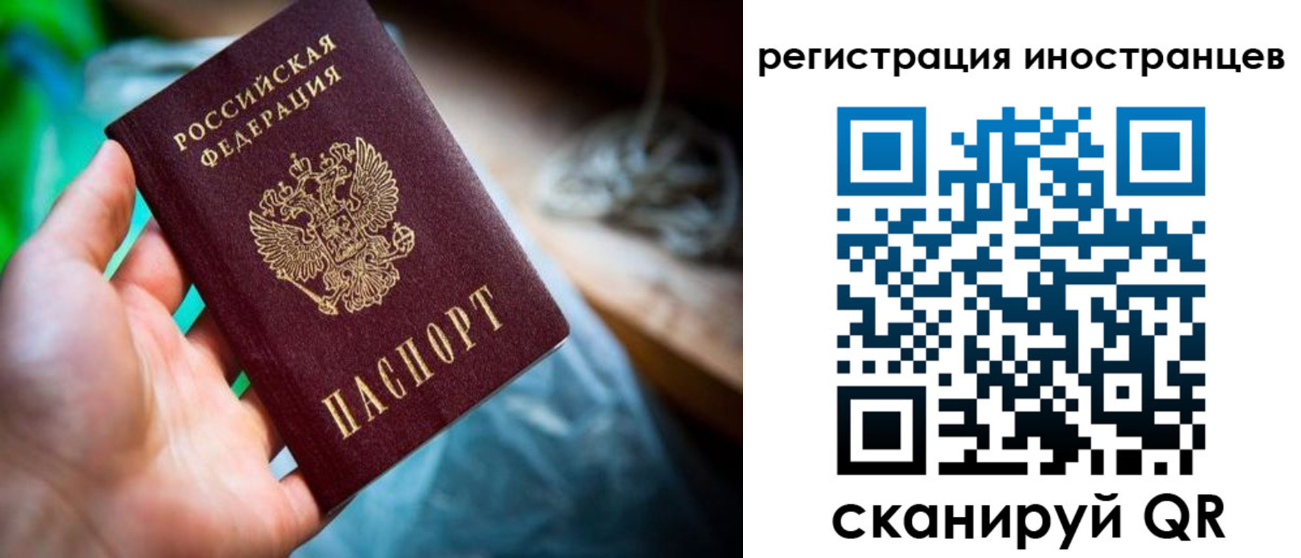 прописка 2025 в Липецке